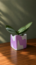 Handmade clay plant pot with small indoor plant